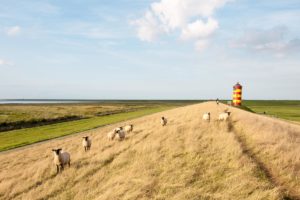 Ostfriesland Greetsiel