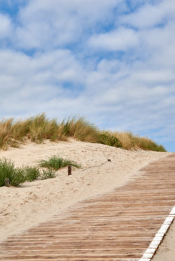 Am Strand aud Langeoog in Ostfriesland, Niedersachsen